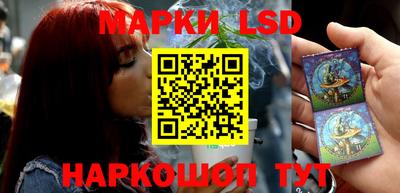 гидропоника Брянск