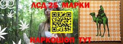 прущие крисы Братск