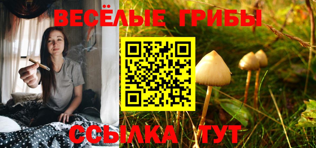 Галлюциногенные грибы ЛСД Всеволожск
