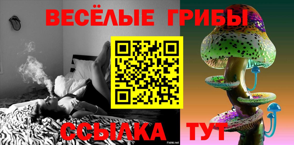 цены наркотик  Галлюциногенные грибы GOLDEN TEACHER  Всеволожск  Вход с VPN  Псилоцибиновые грибы MAGIC MUSHROOMS 